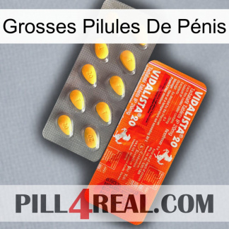 Grosses Pilules De Pénis new01